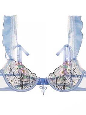 NWT (36D) For Love & Lemons
Louise Underwire Bra - Blue With Bows, Ribbon Ties